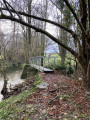 Pont du Petit Anjou