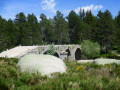 Pont du Tarn