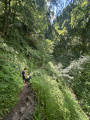 Pont en bois