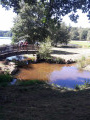 Pont en bois