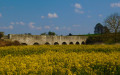 Pont en vieilles pierres