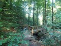 Pont enjambant le ru
