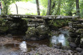 Pont gaulois