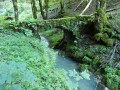 Pont Perroud