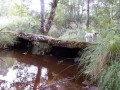 Pont planche
