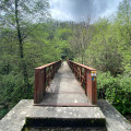 Pont