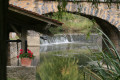 Pont
