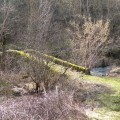 Pont sur La Borne