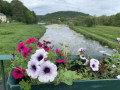 Pont sur la Semois