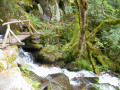 Pont sur le torrent
