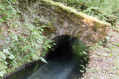 Pont