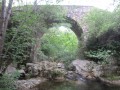 Pont