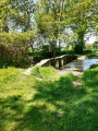 Pont