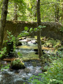 Pont