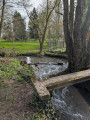pont