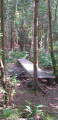 Ponton au dessus du ruisseau d'Omois