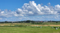 Porrenkoog