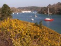 Le long du Belon et l'estuaire de l'Aven