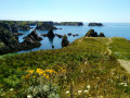 Belle-ÎIe en Mer : Donnant - Pointe du Talut