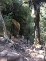 La cascade de Piscia di Gallu La cascade de Piscia di Gallu