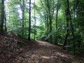 Portion du chemin menant à la route après la montée depuis le gymnase
