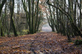 Poste de chasse