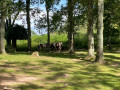 Pottok du Lac d’Ibardin