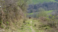 Camino de Bastan au départ du Puerto de Otsondo