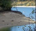 Boucle d'automne au départ de Villards d'Héria