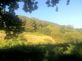 Dans le milieu du bois de Bénac sur les pentes de l'Araü