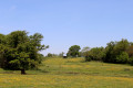 Prairie en Boischaut Sud du côté du Pontet