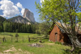 Prairie et Mont Aiguille