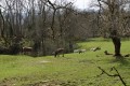 Le Grand Méandre et le Chalet d'Arguel