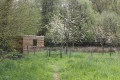 Prairie fleurie