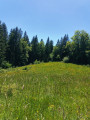 Prairie