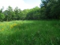 Prairie marneuse