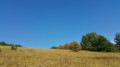 Prairie sèche