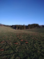 Prairie Prairie