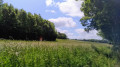 Prairie Prairie