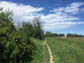 Prairie