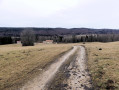 Prairie