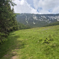 Prairie