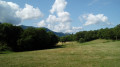Prairie