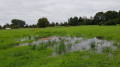 Prairies dans la plaine de la Sille