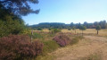 Prairies en remontant le Thaurion