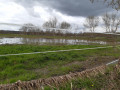 Prairies inondables