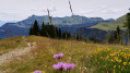 Praz de Lys Praz de Lys