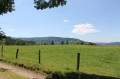 Pré à côté du Grand Etang. Pré à côté du Grand Etang.