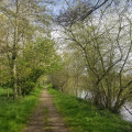 Pr&eacute; des Lavandi&egrave;res