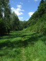Pré en bordure de la rivière Pré en bordure de la rivière